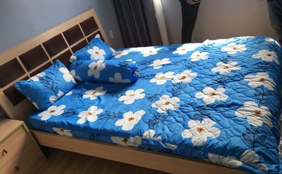 apartment for rent in binh thanh district BT107551 (5)